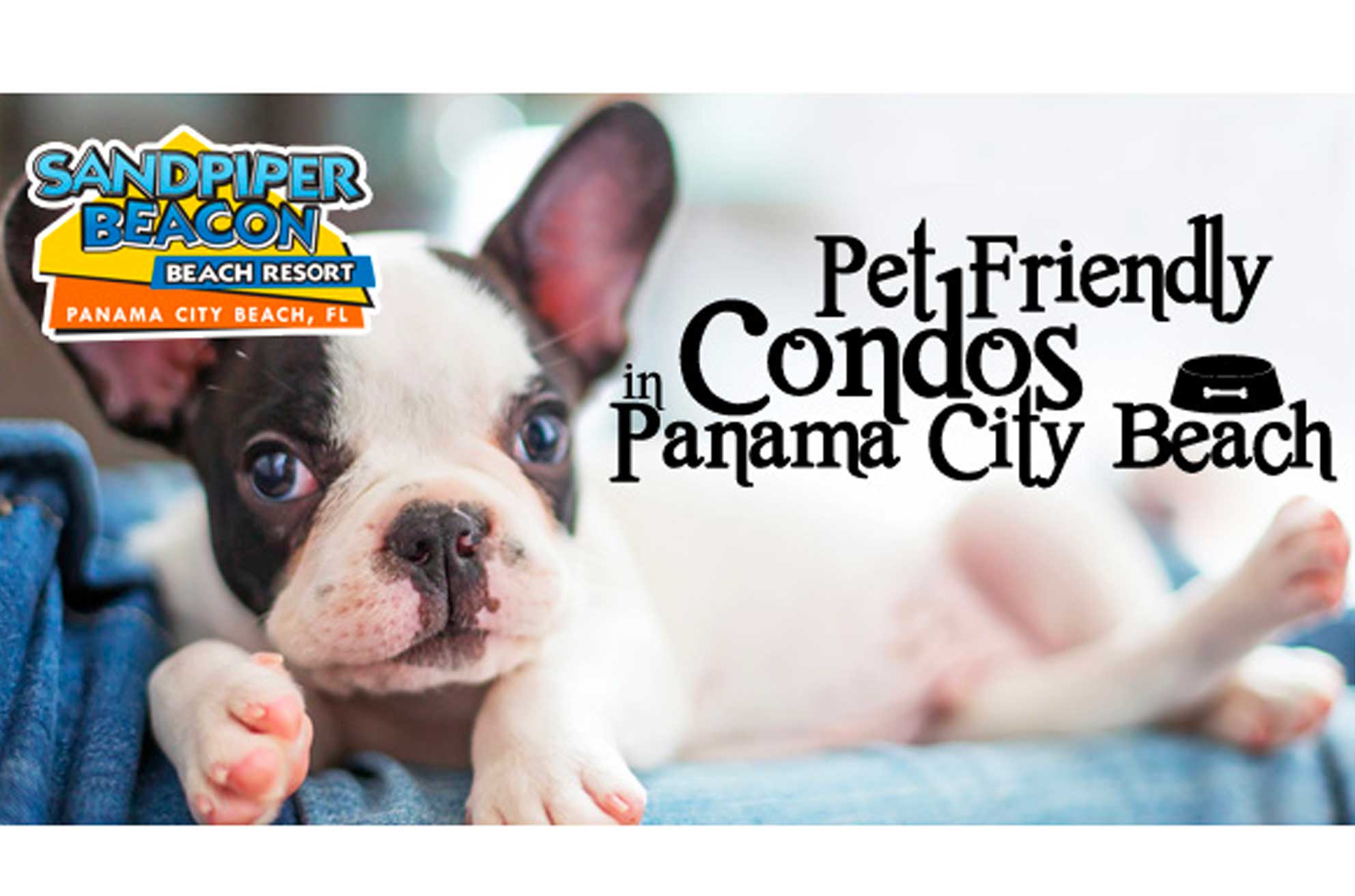 pet friendly condos in panama city beach
