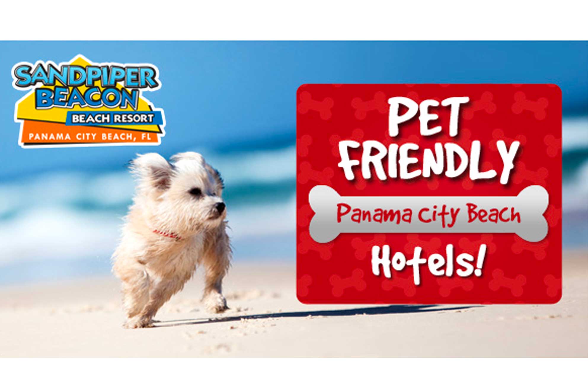 pet friendly panama city beach hotels