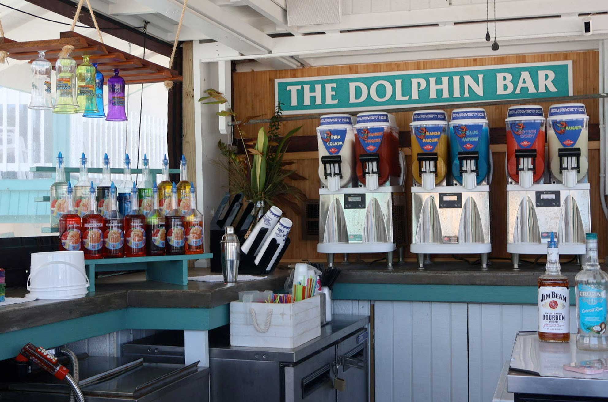 dolphin bar beer bucket